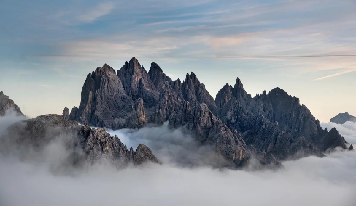 Przygotuj biznes na wyzwania EUDR w branży prawnej: Kluczowe strategie i najlepsze praktyki