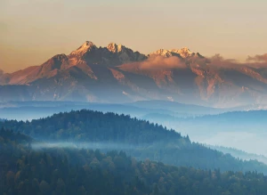 Rośliny do mieszkania: Jak wybrać idealne gatunki dla zdrowego i estetycznego wnętrza?
