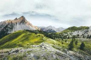 Ochrona środowiska w firmie: Kluczowe kroki ku zrównoważonemu rozwojowi