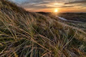 Lśniące łóżko Toruń - raj dla snu i relaksu w sercu miasta