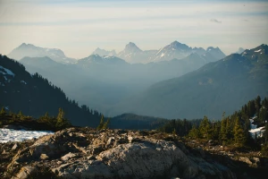 Japandi: Harmonijne Połączenie Japońskiej Estetyki i Skandynawskiej Funkcjonalności